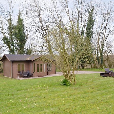 Gooseberry Lodge Tollard Royal Extérieur photo